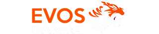 LOGO EVOSGAMING